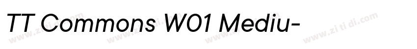 TT Commons W01 Mediu字体转换